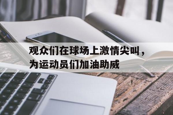 观众们在球场上激情尖叫，为运动员们加油助威